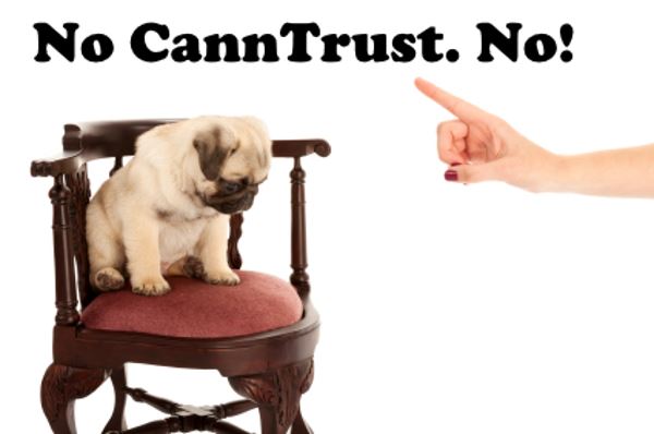 CannTrust penalized by the government